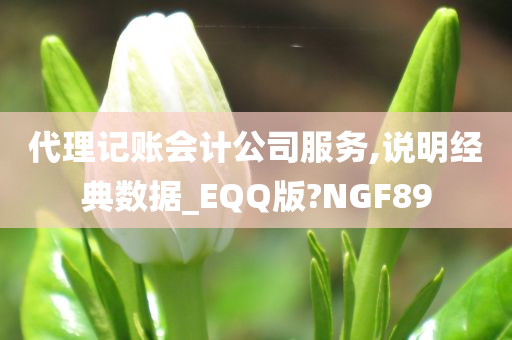 代理记账会计公司服务,说明经典数据_EQQ版?NGF89