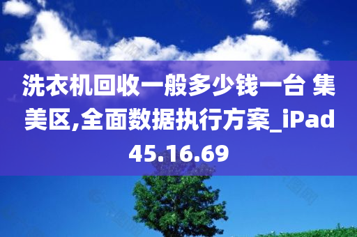 洗衣机回收一般多少钱一台 集美区,全面数据执行方案_iPad45.16.69